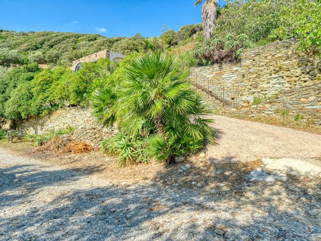 Vente propriété Centuri Hameau de Cannelle T4 147 m2 avec terrain 5825 m2 avec vue mer