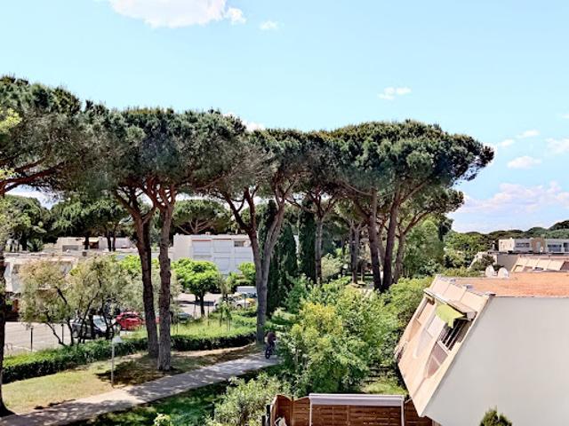 Vente Studio 1 pièce 23 m2 La Grande Motte