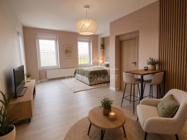 Vente Studio 1 pièce 27.71 m2 Beinheim