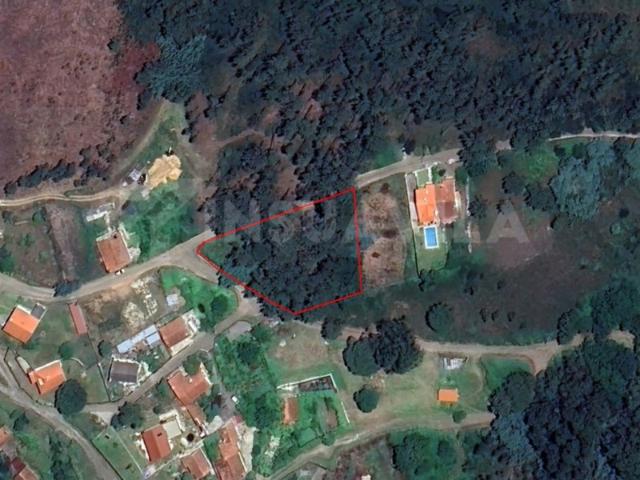 Venade Caminha Terreno com 1890 m2