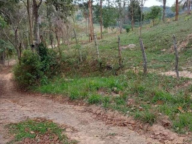VENDA, TERRENO, BOM JESUS DO AMPARO