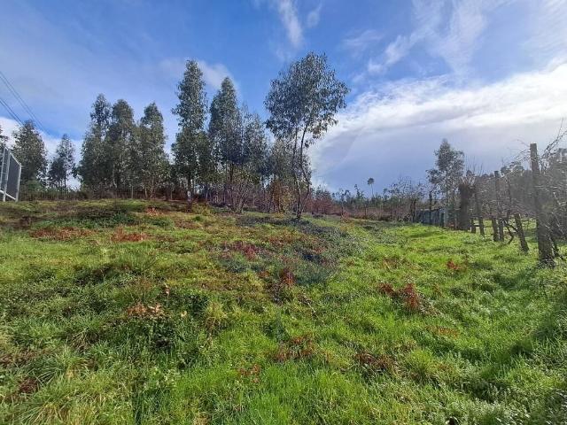 Venda Terreno com viabilidade de construção em Arcozelo, Vila Verde