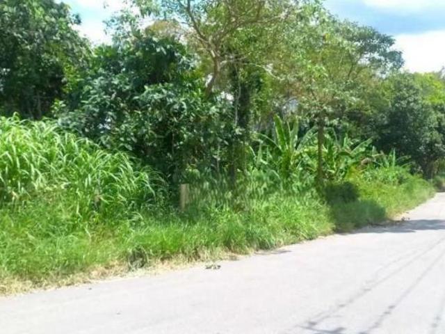 Venda Terreno Cotia Granja Viana
