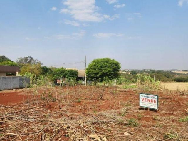VENDA | Terreno, em Maria Zilda, Marialva