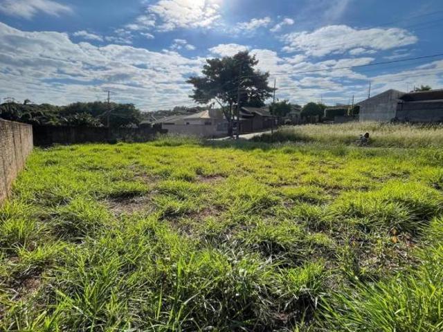 VENDA | Terreno, em Alto Da Boa Vista, Astorga