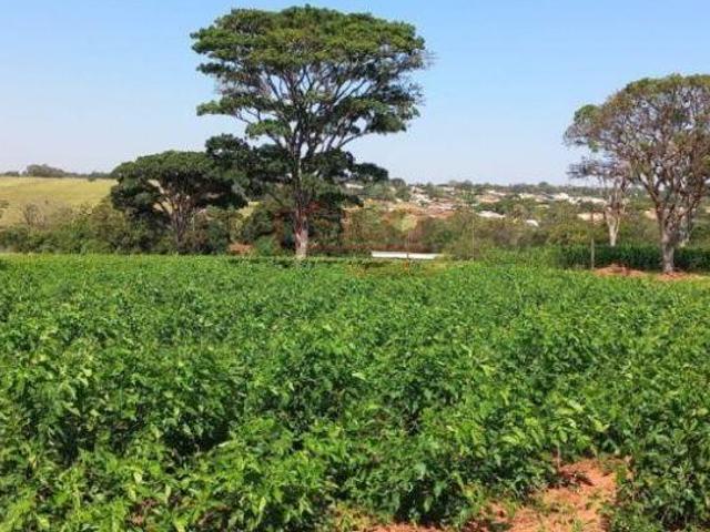 VENDA | Terreno, em CENTRO, NOVA ESPERANCA
