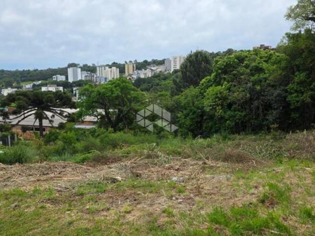 Venda Terrenos no bairro Vinhedos Caxias do Sul RS