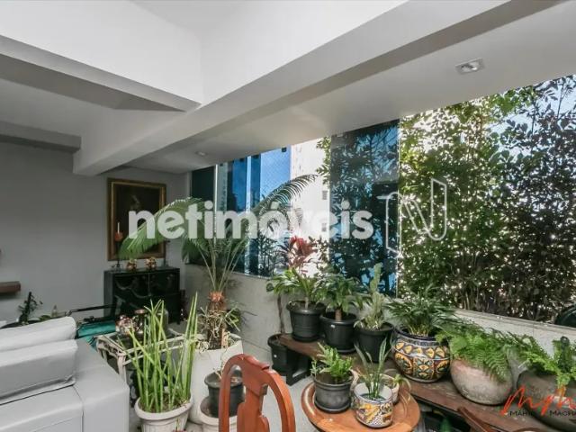 Venda Apartamento 4 quartos Cidade Nova Belo Horizonte