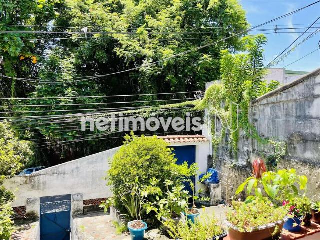Venda Casa Tauá Rio de Janeiro