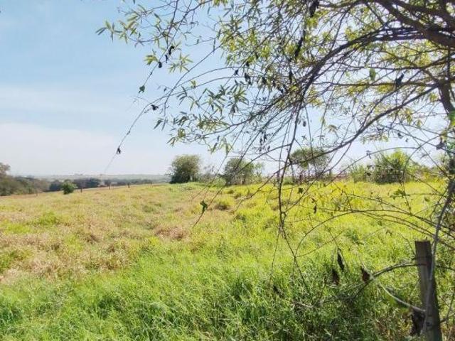 VENDA | Chácara, com 4 dormitórios em VILA RURAL ANTONIO TOMAZIMI, Flórida