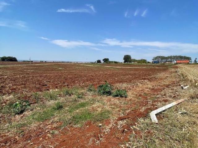 VENDA | Chácara, em Içara, Astorga