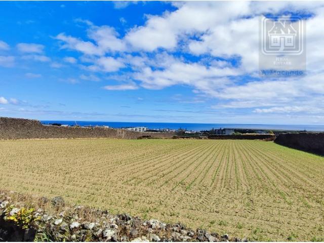 VENDA conjunta de 5 TERRENOS com potencial para construção em Ponta Delgada, Ilha de São Miguel, Açores