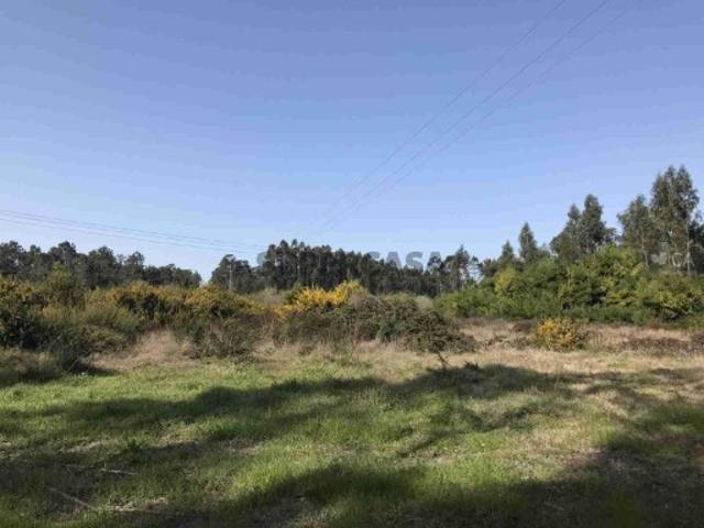 Venda conjunta de 9 terrenos rústicos com área total de 26.407m²
