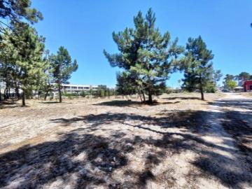 Venda conjunta de 105 lotes de terreno na Urbanização Pinhal de Negreiros em Azeitão