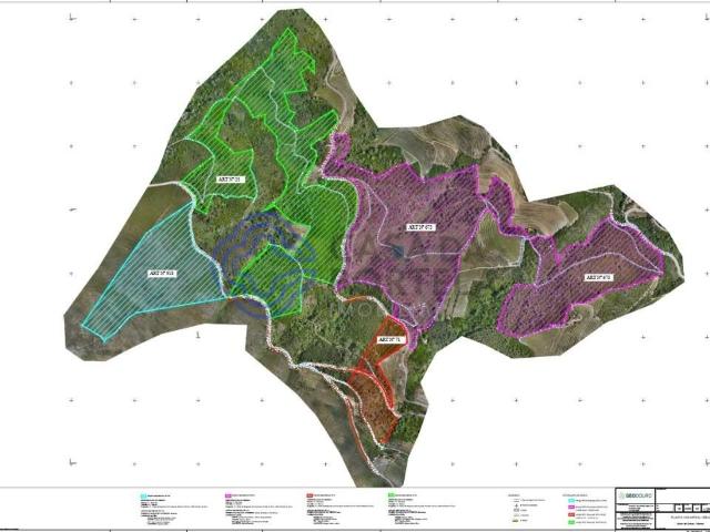 Quinta das Beatas: 56ha de história e ruínas com capela no coração do Douro Vinhateiro