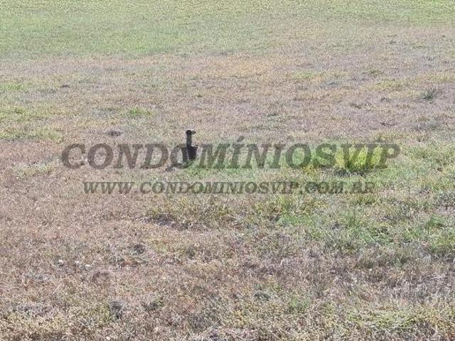 Venda de terreno em condomínio de luxo em Itu SP, bairro Portal do Éden, com 3.070,00 m² de área