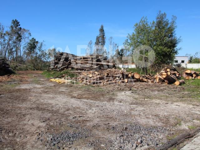 Venda de Terreno para Construção de empreendimento de moradias, Pedra de Cima, Marinha Grande