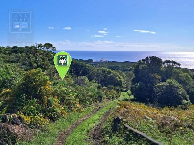 VENDA de TERRENO na Manhenha Piedade, Lajes do Pico, Ilha do PICO, Açores