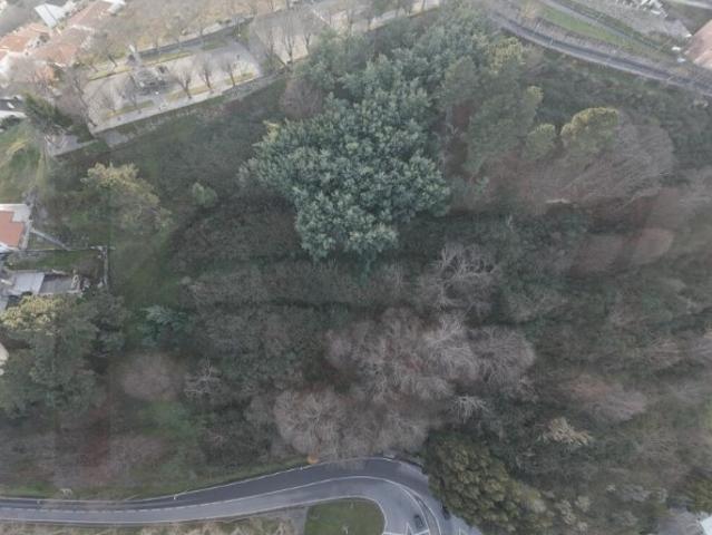 Venda de Terreno Rústico com Viabilidade de Construção Covilhã