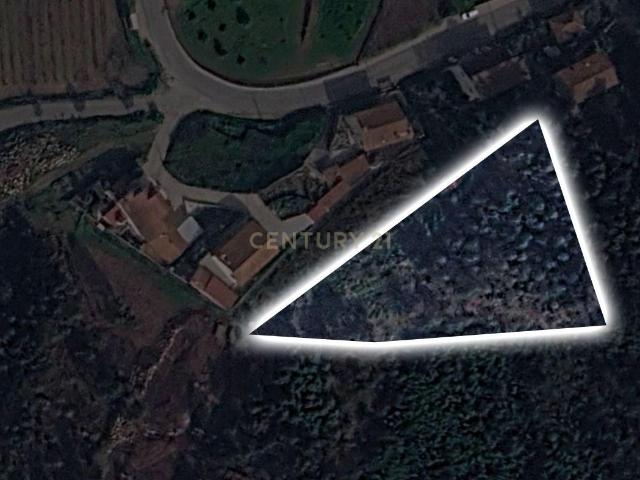 Venda de Terreno Rústico – Excelente Potencial para Projeto Fotovoltaico