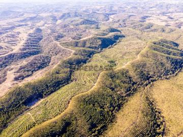 Bemposta, São Salvador e Santa Maria, São Salvador e Santa Maria, Odemira, Distrito de Beja