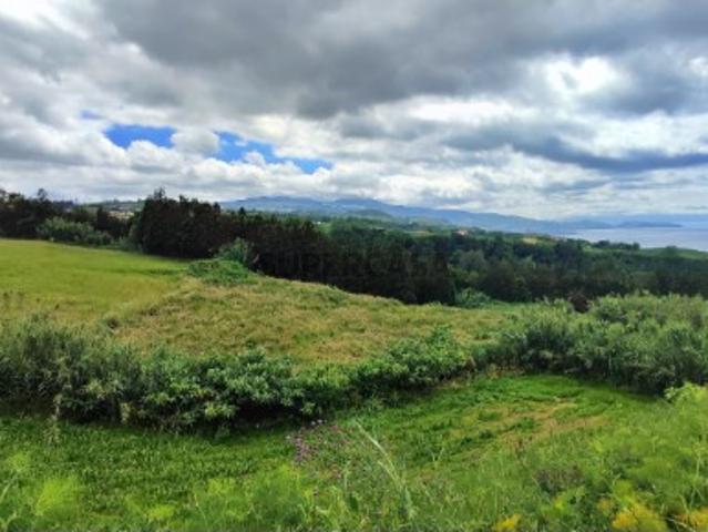 VENDA de TERRENO RÚSTICO Pastagem e Mata Ribeira Funda, Fenais da Ajuda, Ribeira Grande, Ilha de São Miguel, Açores