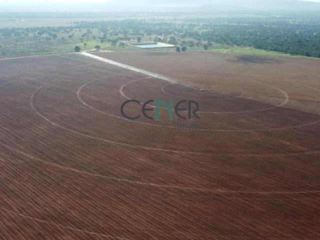 Venda de Fazenda de 732 Hectares em Pirapora, MG Lavoura Irrigada e Pecuária, Alta Produtividade