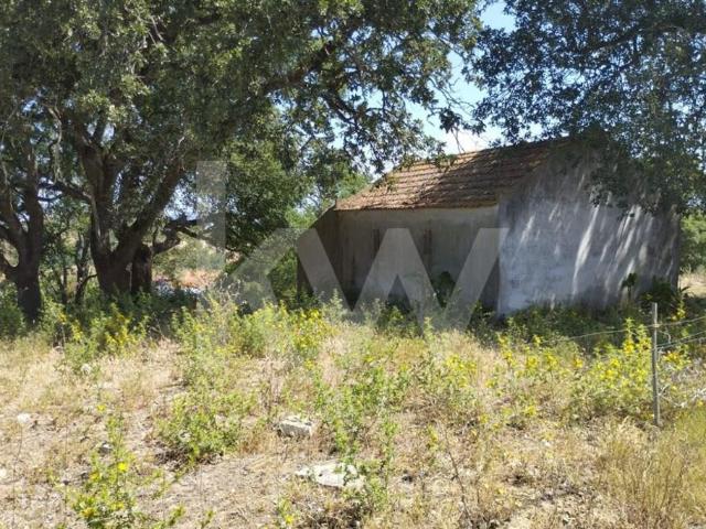 Venda de ruína e terreno com 2 hectares, em Jerumelo, Malveira