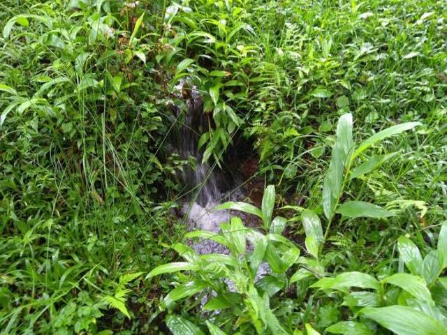 Venda de Sítio bem localizado na Barra, Cunha SP, com 3,00 alqueires de área