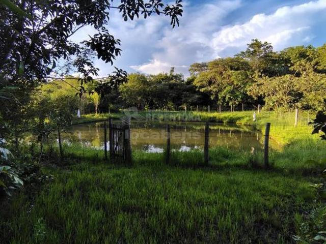 Venda de Sítio em Nhandeara SP com casa com 02 quartos, poço artesiano e curral