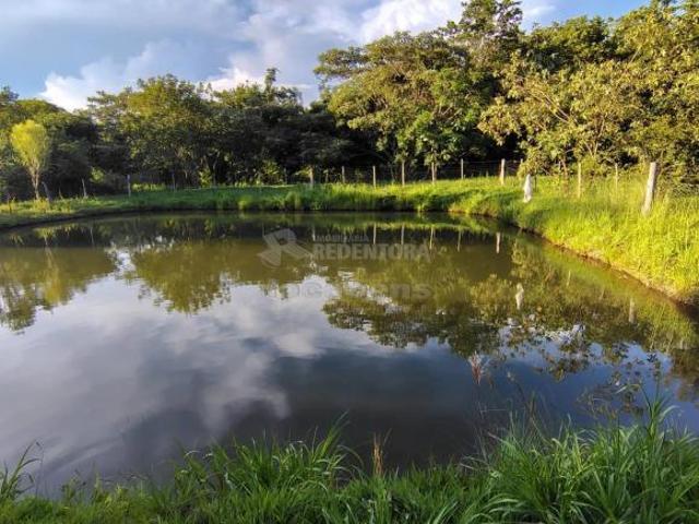 Venda de Sítio em Nhandeara SP com casa com 02 quartos, poço artesiano e curral