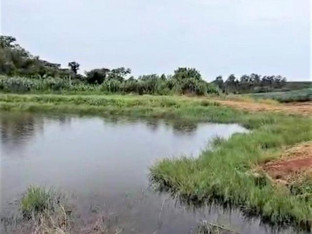 VENDA | Fazenda, com 2 dormitórios em Atalaia