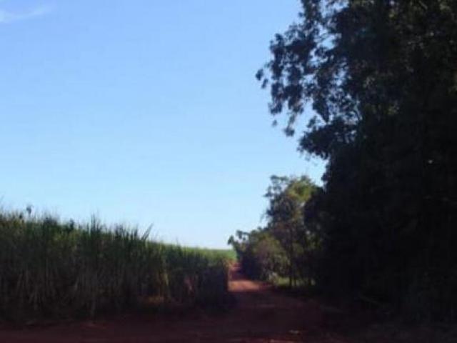 VENDA | Fazenda, em Mandaguaçu