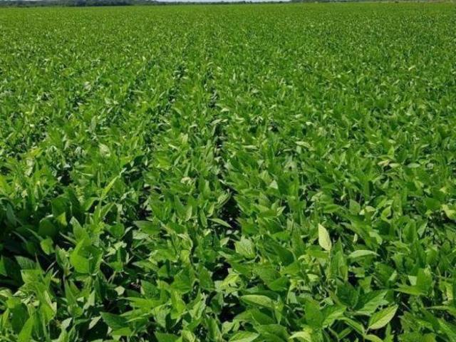 VENDA | Fazenda, em Zona Rural, Canabrava Do Norte