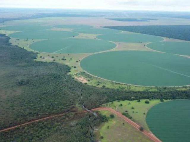 VENDA | Fazenda, em Zona Rural, Jussara