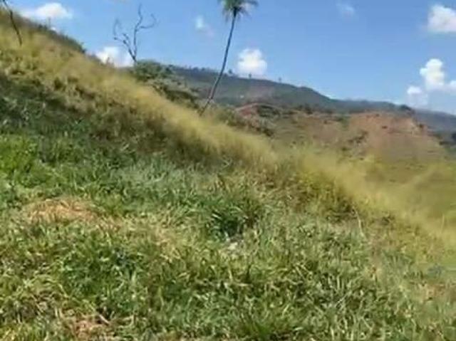 VENDA, FAZENDA, FERROS