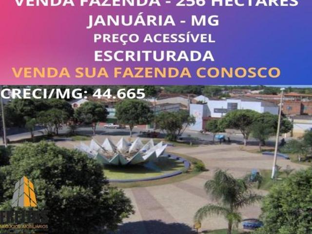Venda fazenda Januária mg 256 hectares preço acessível
