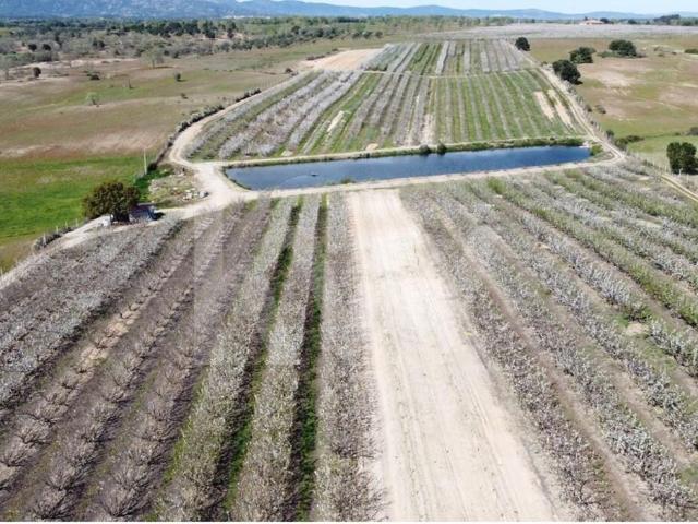 VENDA HERDADE COM PRODUÇÃO DE CEREJAS e PESSEGUEIROS