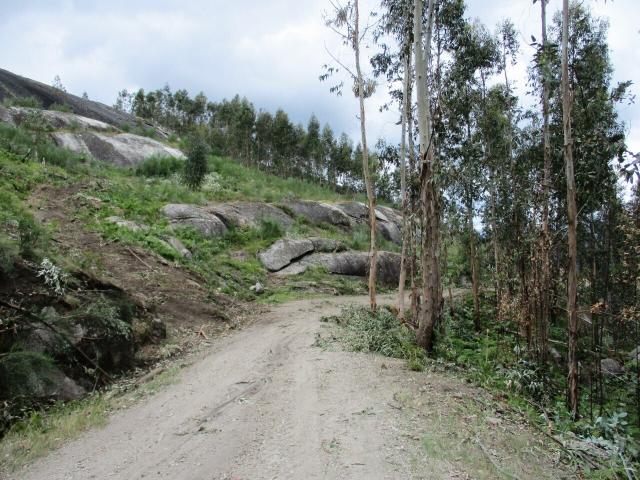 Venda judicial de Terreno rústico com 9 718 m2 em Castro Vicente, Mogadouro