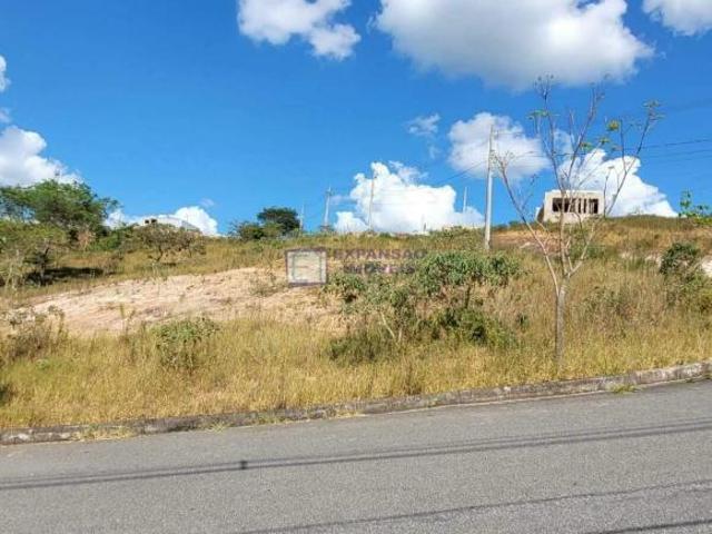 VENDA, LOTE, FLAMBOYANT