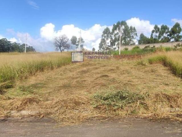 VENDA, LOTE, JARDIM UNIVERSITÁRIO
