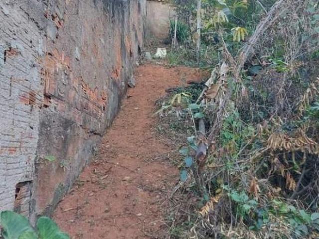 VENDA, LOTE, PARÁ