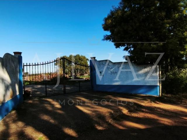 Venda Quinta do Mal Julgado Um Refúgio Natural em Fornalhas Velhas