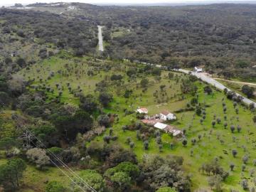 QUINTA COM 5HA DE TERRENO COM 500M2 URBANO GALVEIAS PONTE DE SOR