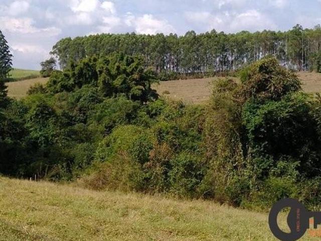 VENDA/ SITÍO/ TIETÊ/ SP/ 10.000 alqueires