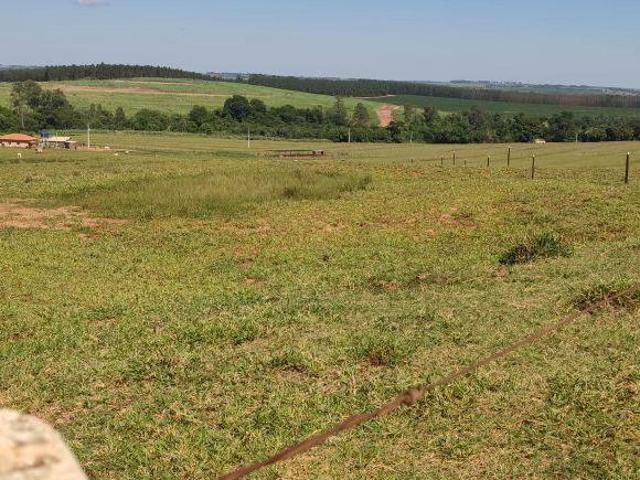 VENDA | Sítio, com 3 dormitórios em Presidente Castelo Branco