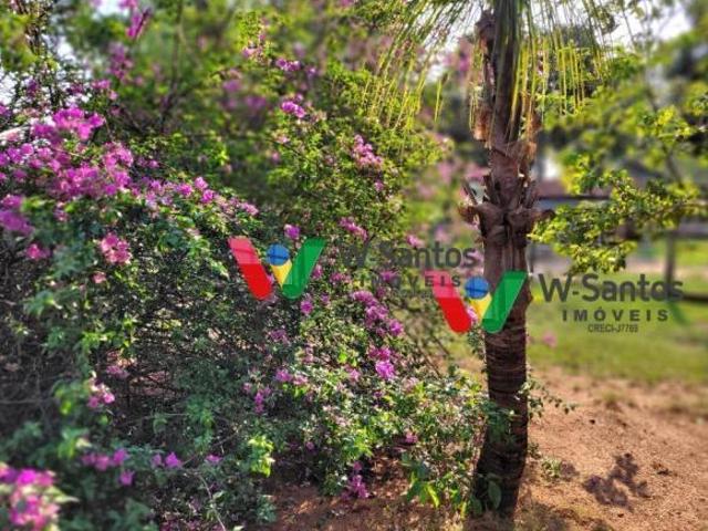 VENDA | Sítio, em Zona 03, São Pedro Do Paraná