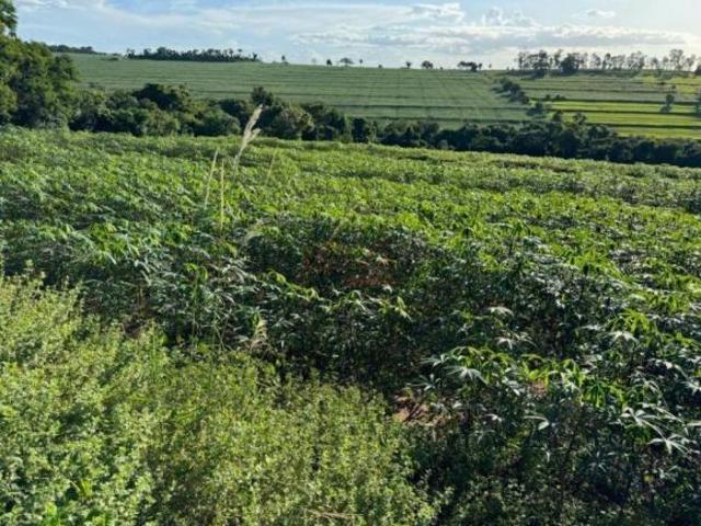 VENDA | Sítio, em APARECIDA DO OESTE, TUNEIRAS DO OESTE