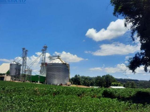 VENDA | Sítio, em Área Rural, Santa Tereza Do Oeste
