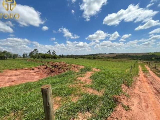 VENDA | Sítio, em Centro, Nova Esperança